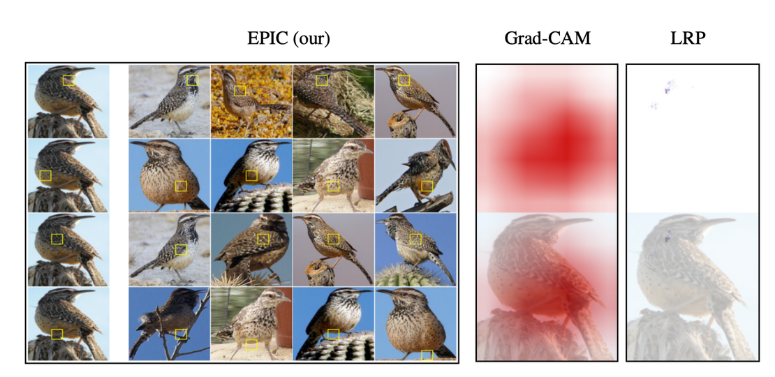 EPIC: Explanation of Pretrained Image Classification Networks via Prototypes